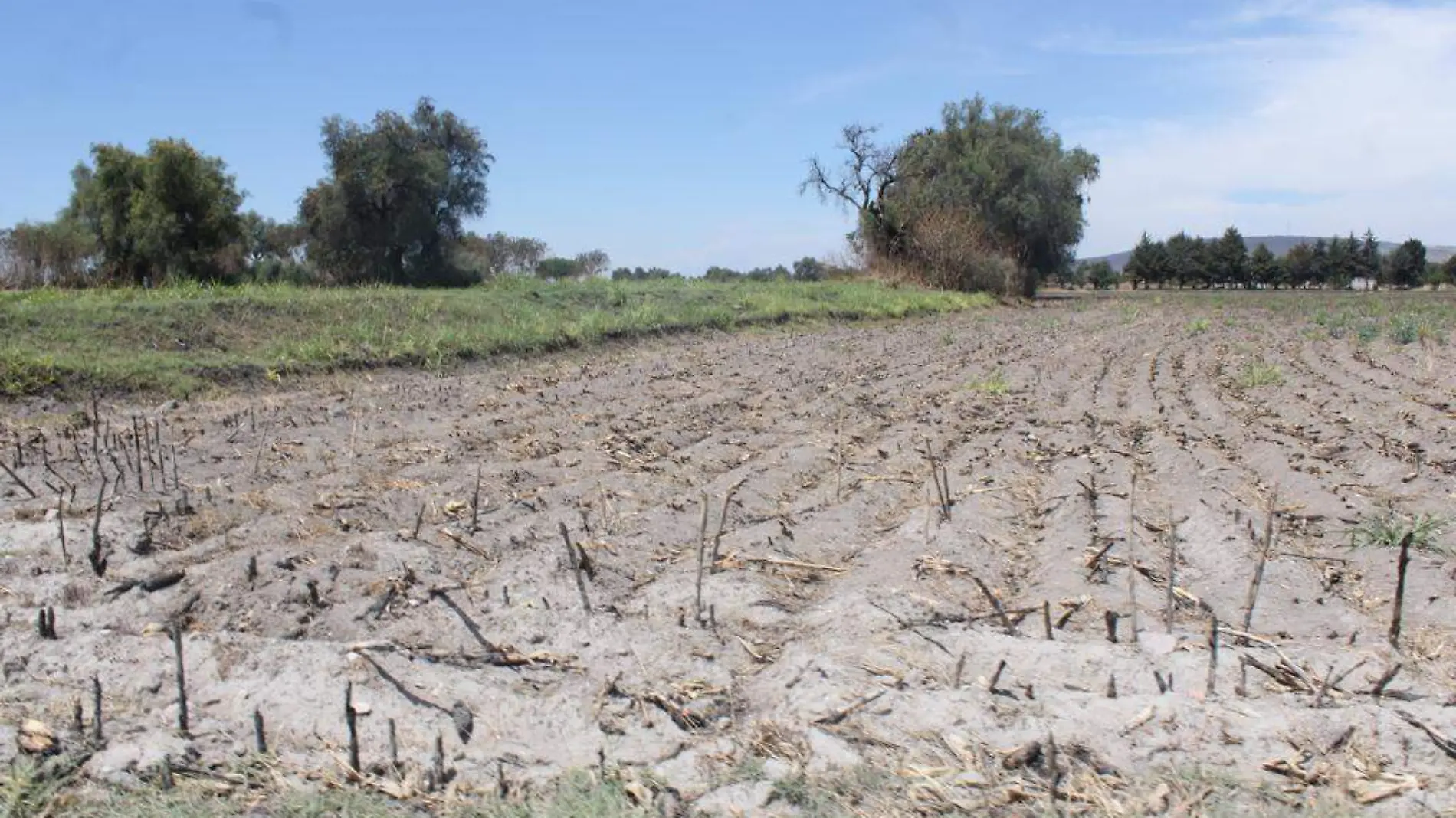 falta agua julio 3